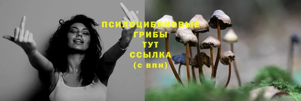 мескалин Аркадак