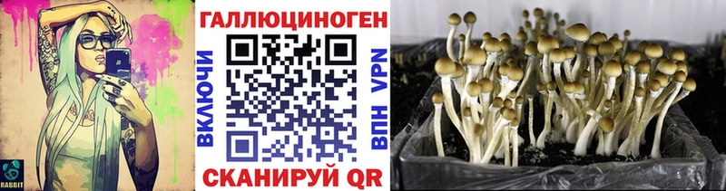 Псилоцибиновые грибы мицелий  MEGA ССЫЛКА  Людиново 